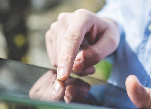 9001cc金沙以诚为本(中国)有限公司官网