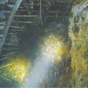 9001cc金沙以诚为本(中国)有限公司官网