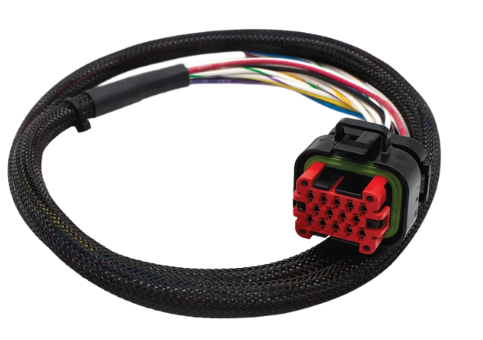 9001cc金沙以诚为本(中国)有限公司官网